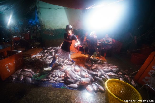 San Pya Fish Market
