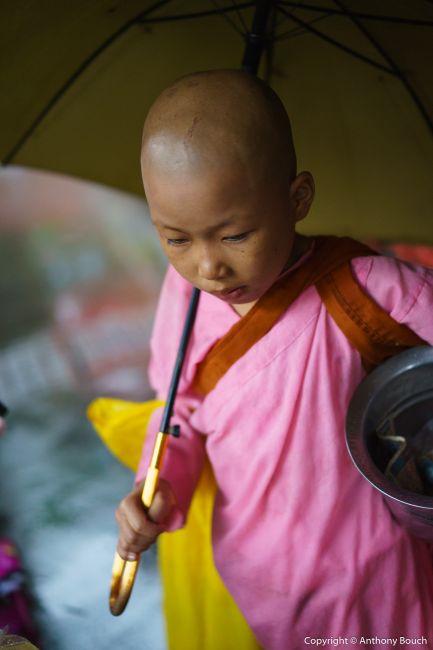 Young Buddhist Nun